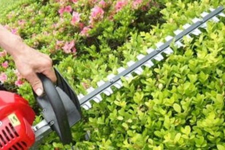 電動綠籬機刀片的價格貴嗎？